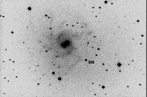 Col Bembrick's Image of Supernova in NGC7424